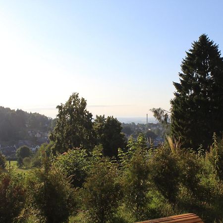 Ferienwohnung Greifenbach, Gartennutzung, Haustiere Willkommen Geyer Kültér fotó