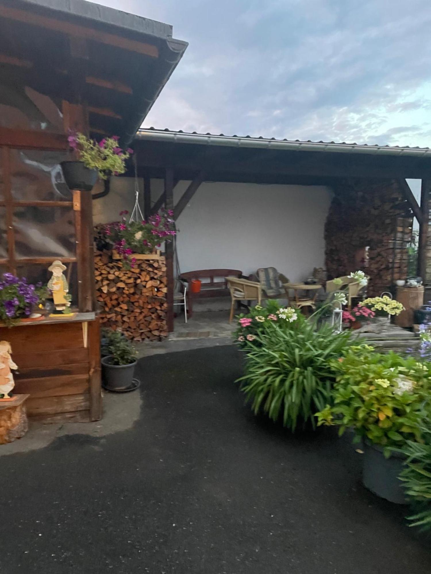 Ferienwohnung Greifenbach, Gartennutzung, Haustiere Willkommen Geyer Kültér fotó