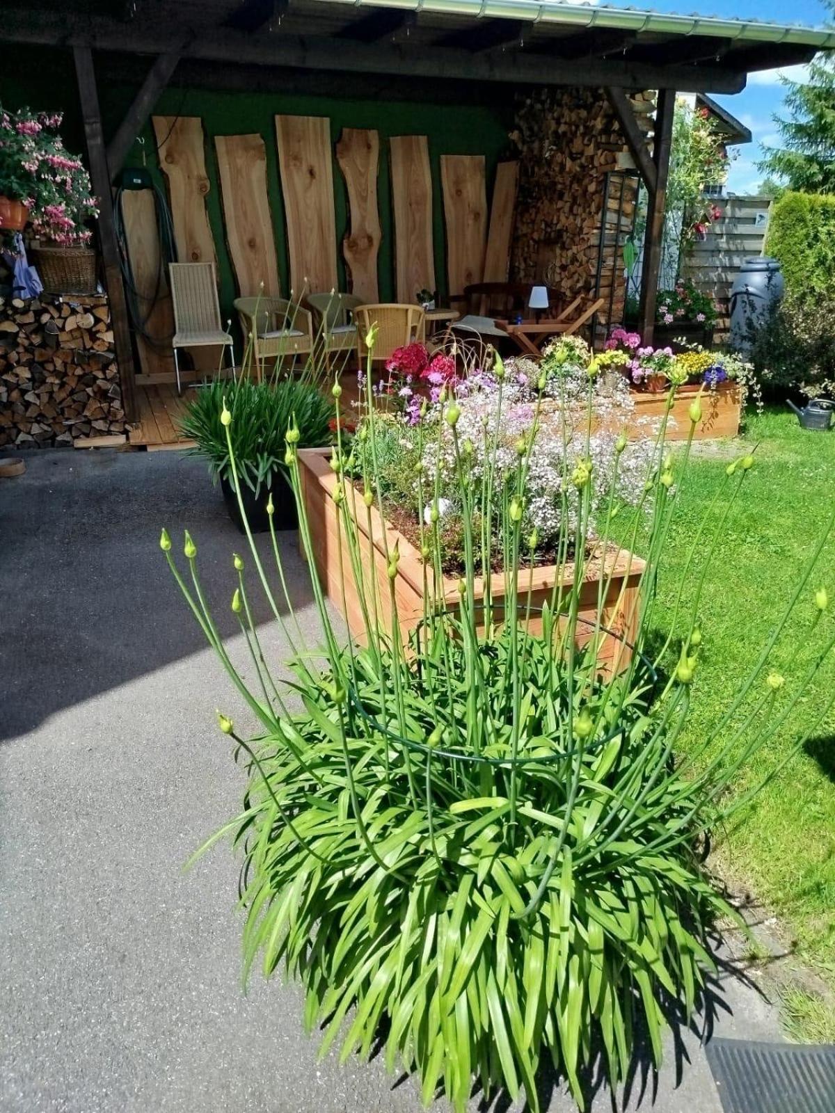Ferienwohnung Greifenbach, Gartennutzung, Haustiere Willkommen Geyer Kültér fotó